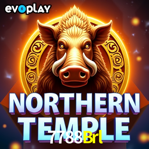 Experiência VIP 7788Brl